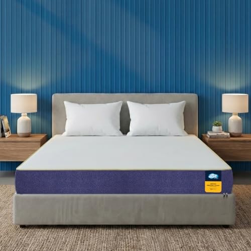 Centuary Mattresses Sleepables 8-Inch Queen Size Orthopedic Memory Foam Back Support Pressure Relieving Roll Pack High Resilience (HR) Foam Mattress | 10 Years Warranty | (72x60x8)
